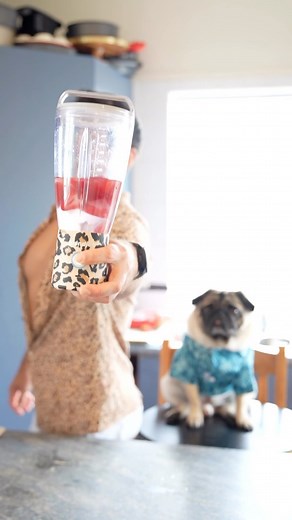Daniel Rankin on Instagram: "Let’s play some bangers and make some cocktail 🙌🏽 Strawberry Daiquiri with @blendjet 🍹 🤤 175mls white rum 3 cups frozen strawberries, washed, stems removed 50mls fresh lime juice 175mls Cointreau 1 handful ice Fresh strawberries to garnish . . . #cocktail #cocktails #bar #drinks #bartender #drink #mixology #rum #cocktailbar #drinkstagra #strawberrydaiquiri #pugs #auckland #newzealand"