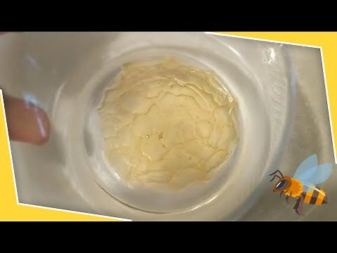 The Real Honey Test