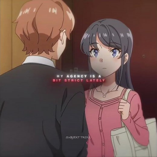 Rascal Does Not Dream of Bunny Girl Senpai