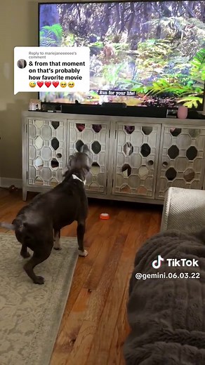 Lion King: Nala's Memorable Moments | Simba's Unexpected Encounter