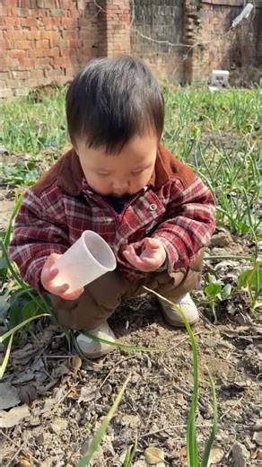 The Pure Bliss of Childhood Ignorance: A Journey Through Innocence