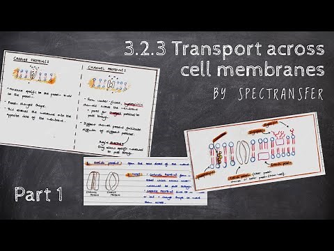 EASY REVISION AQA A-Level Biology 3.2.3 Transport across cell membranes by SpecTransfer - PART 1/2