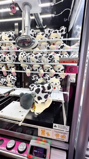 Playing multiple crane machines so I have a better chance of winning 😭🔥 #clawmachine #cranegame #clawmachinearcade #arcade #arcadegames | Rowland Arcade Couple