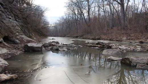 Drone operator shares incredible footage of unexpected scene caught on camera: 'It had my heart racing'