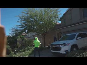 Tree Trimming a Mesquite