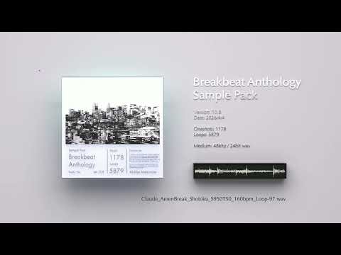 160BPM Amen Break, Think Break, Funky Drummer | Breakbeat Anthology Sample Pack v.10.8