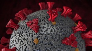 Covid-19 Coronavirus Pandemic Realistic 3d Animation Stock Footage Video (100% Royalty-free) 1048965793 | Shutterstock