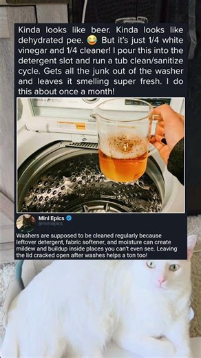 Monthly Washer Cleaning Cycle With Vinegar Solution