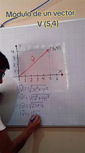Cómo calcular el módulo de un vector en R2