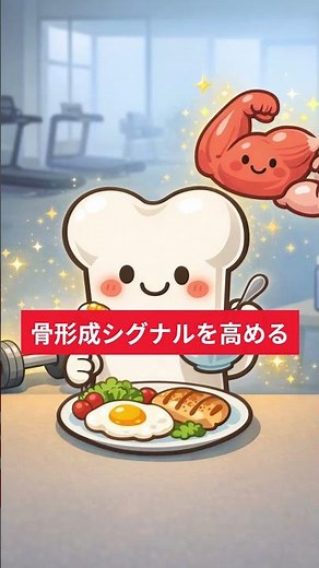 骨形成は栄養とタイミングの影響を受ける。タンパク質やビタミンD、運動後の食事は骨代謝に関わるとされます。詳しい摂り方は概要欄のブログで解説しています。