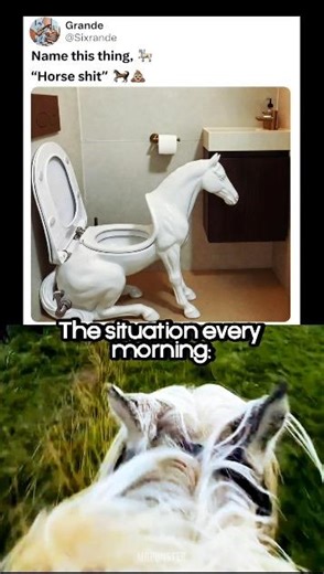 #bassboosted 🚽