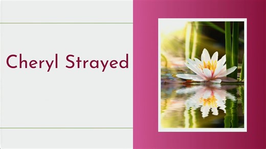 SE Vimeo Video of 2025 (1)