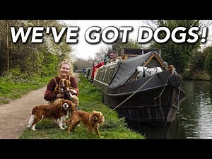 Three Dogs On A NARROWBOAT. Danni's Final Week Aboard.
