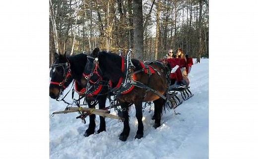 Circle B Ranch: Horseback Riding & Sleigh Rides in Chestertown, NY