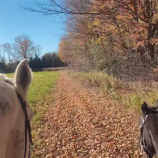 Sound up Crunch Crunch Crunch 😁 | Silverado Ranch