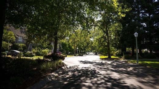 Is your neighbor’s tree dropping branches, leaves into your yard? These are California’s laws