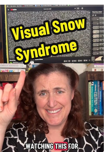 Visual Snow Syndrome: Insights from a Vision Scientist