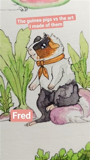 The Guinea pig farmer art project is coming together! #guineapig #art #watercolor