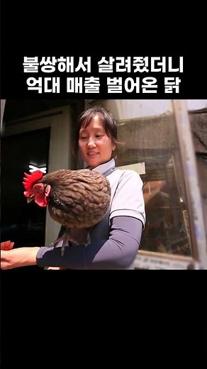 백숙집 차리려다 포기하고 50억 자산가 된 남자 #한국기행 #방방곡곡 #shorts