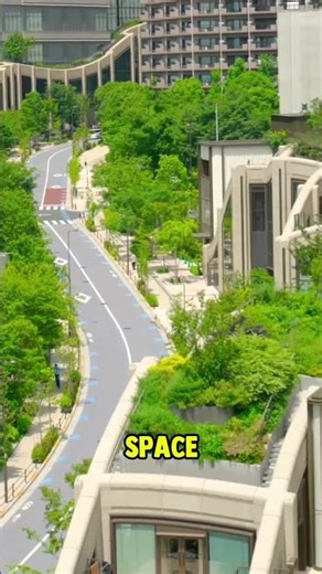 5 Biggest Mega Projects that will transform Japan