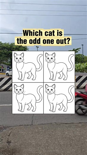 Which cat is the odd one out? #reelschallenge #brainteaser #puzzle #puzzlegame #oddoneout | Learn English