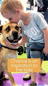 Chance is a three-year-old rescue who was found starving, with a bullet in his leg. After losing his leg and shoulder blade and facing a major setback, his family knew he needed another chance. Thanks to Derrick, Chance now has both a knee brace and a full prosthetic—and he’s already up and moving again! Catch his full, powerful story in the Season 7 premiere of The Wizard of Paws—now streaming on the free BYUtv app! 📲 #WizardOfPaws #WizardOfPawsTV #BYUtv #BionicPets #SecondChances #TherapyDog 