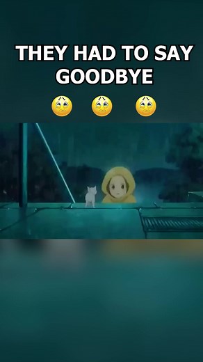 they had to say goodbye | AMV PH