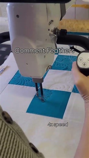 Freehand quilting Feathers