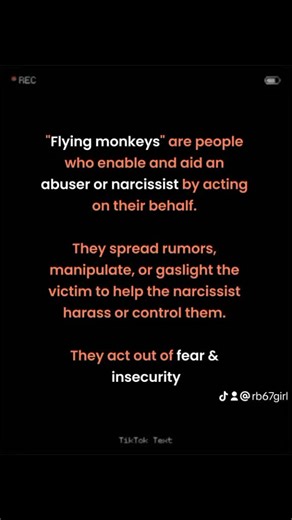 Flying monkeys...