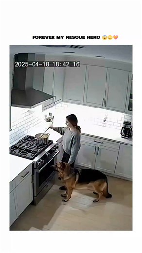 Creative Zack on Instagram: "The post features an surveillance video dated April 18, 2025, depicting a German Shepherd dragging its owner to safety just before a kitchen stove erupts in flames, styled to mimic real CCTV footage for emotional impact. Despite high engagement—nearly 48,000 likes and 2.5 million views—replies overwhelmingly identify it as fabricated, with users sharing real dog rescue clips and mocking AI "slop" trends in 2025 viral content. This reflects broader 2025 social media p