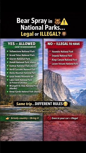 Bring This to Yellowstone… But It’s ILLEGAL in Yosemite 😳🐻 #bearsafety #traveltips #nationalparks