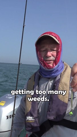 Catching perch on Stingnose minnow