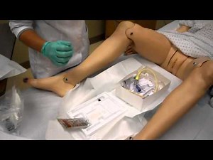 Foley Catheter Insertion