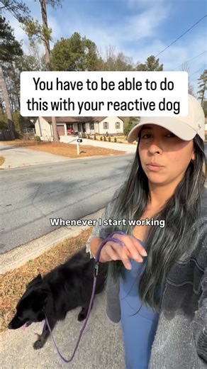 Lizzy| Reactive Dog Training & Human Coach on Instagram: "I know you want your walks to stop being such a bummer. I want that for you too, so here’s your first step. Fix your leash walking. You don’t have to have a snappy and sharp heel where your dog is staring at you the whole time, but you do need an attentive dog. If your dog is spending most of their walk pulling, sniffing, ignoring you, zig zagging and checked out, the you are already behind the ball when a trigger shows up. Think about it