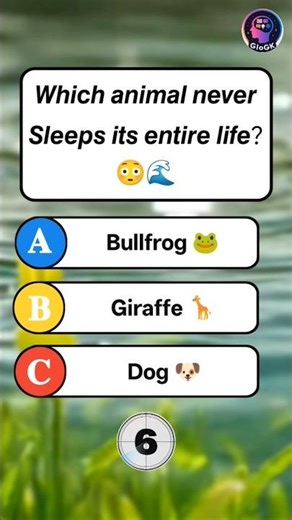 Animal That Never Sleeps? 😳🌊 | Animal GK Quiz #Shorts #Trivia