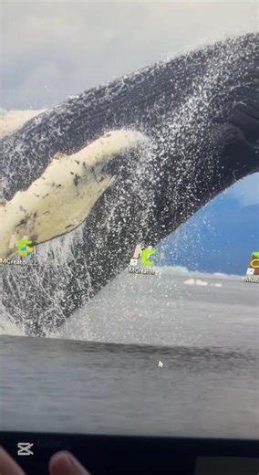 MCreator: Easy Mod Experience For Minecraft Noobs!