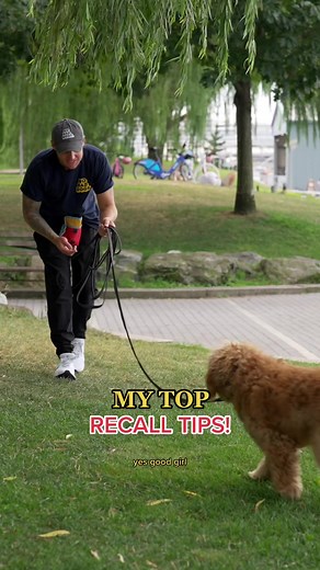Dog Recall Training: Long Line Tips for Success