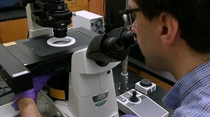 Performing Spectroscopy on Plasmonic Nanoparticles with Transmission-Based Nomarski-Type Differential Interference Contrast Microscopy