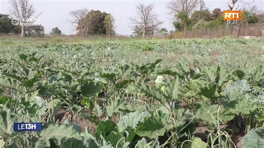 🟥Direct l Le 13 Heures de RTI 1 du 03 février 2026 #RTIinfo | RTI Info