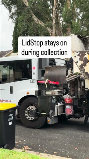 Why Bin Lids Should Stay Closed