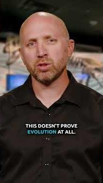Birds and Dinosaurs Are Not Related