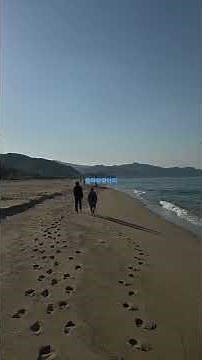 바다 해변 모래사장. 뜨거운 태양. 잔잔한 파도. 평화로운 풍경. Ocean beach sandy beach. Hot sun. Calm waves. Peaceful scenery.