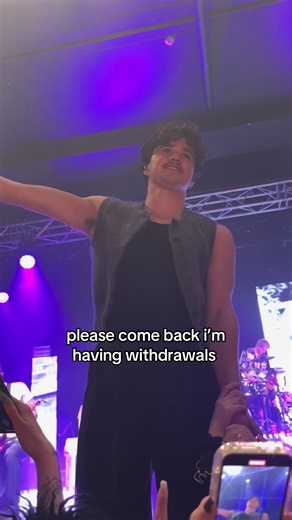 The Vamps Fans Express Missing the Band
