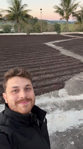 70K views · 3.7K reactions | Primeira vez a gente nunca esquece… Hoje eu tive a honra de colher meu próprio café, direto do pé! ☕ Gratidão demais por viver isso  #Raiz #CaféDoMato #OrgulhoDaRoça | Turma do Tubarao | Facebook