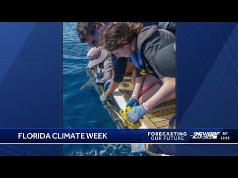 West Palm non-profit launches events for 'Florida Climate Week'