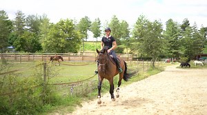 🏇 Horse Master : nouveau partenaire titre du Circuit National Hunter FFE 2025 ! 👉Depuis 20 ans, Horse Master propose une large gamme de compléments alimentaires et de produits de soins adaptés aux besoins de tous les chevaux, du loisir au cheval athlète. Et tout ça fabriqué en France 😍 Passion, expertise & qualité au service du bien-être équin ➡️ https://www.pommier-nutrition.com/produits/marques/horse-master | FFE - Fédération Française d'Equitation