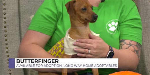 Pet of the Week: Meet Butterfinger