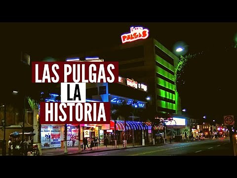 Disco Las "Pulgas" De Tijuana (La Historia)