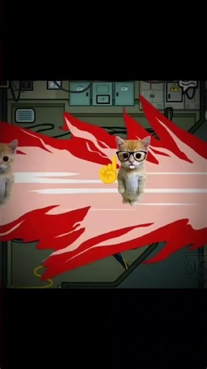 imposter cat 😺