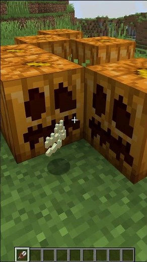 Which strange item do most people not know how to use? #minecraft #merrust #Phi Muen Rak